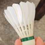Natural Feather Shuttlecock Grade A Training Shuttlecock