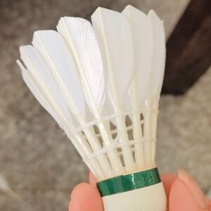 Natural Feather Shuttlecock Grade A Training Shuttlecock
